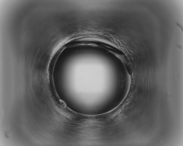 X0000091170246200708161504