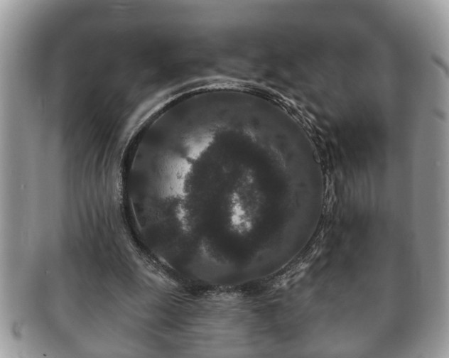 X0000091170247200708161504