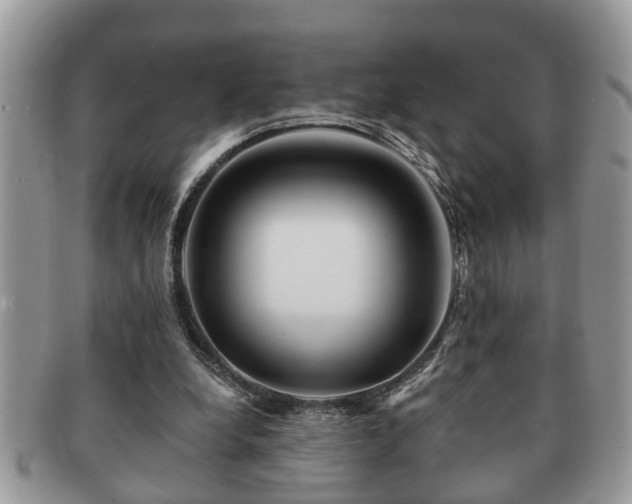 X0000091170248200708161504