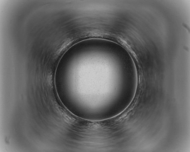 X0000091170249200708161504