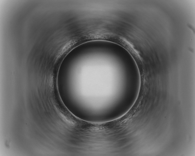 X0000091170250200708161504