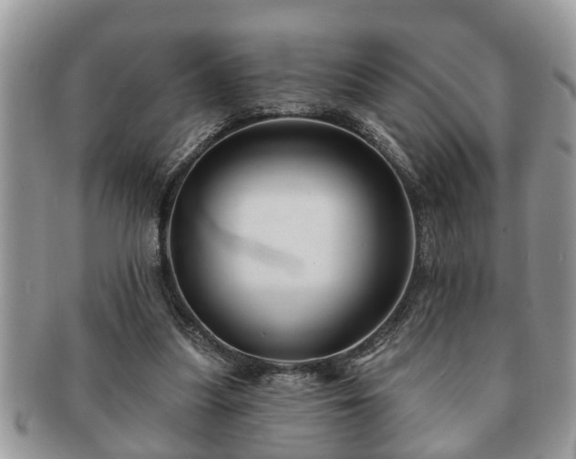 X0000091170251200708161504