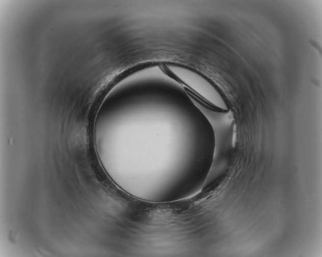 X0000091170252200708161504