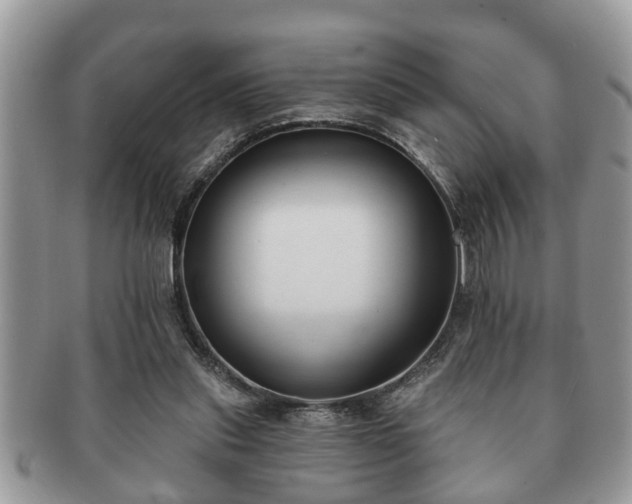 X0000091170253200708161504