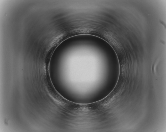 X0000091170254200708161504