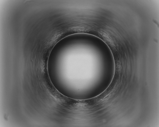 X0000091170255200708161504