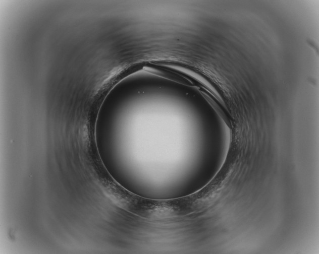 X0000091170256200708161504