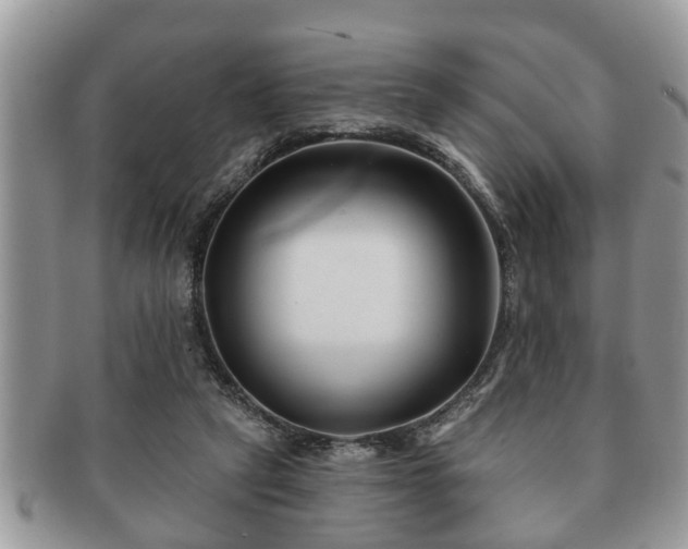 X0000091170257200708161504