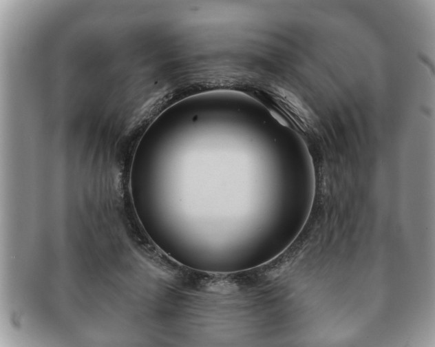 X0000091170258200708161504