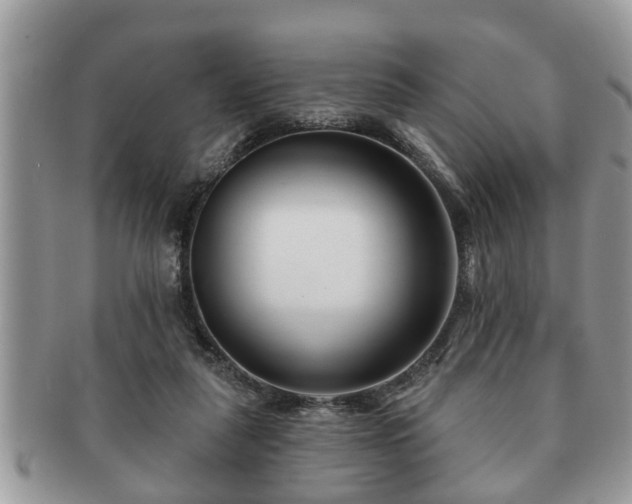 X0000091170259200708161504