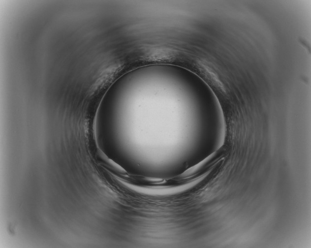 X0000091170260200708161504