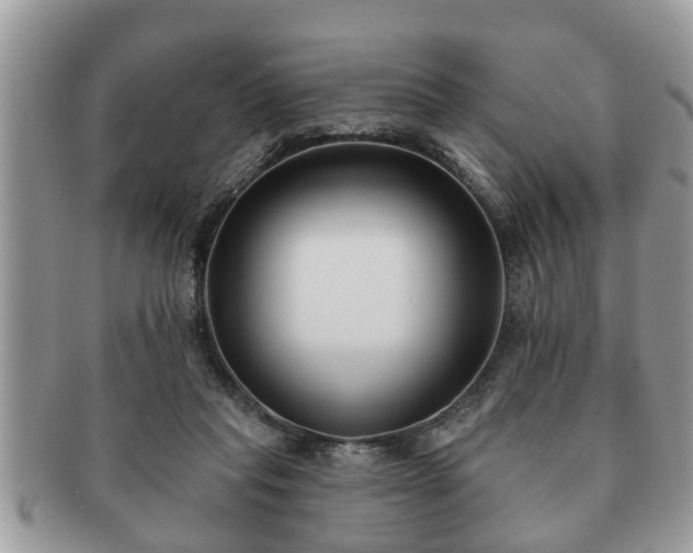 X0000091170261200708161504