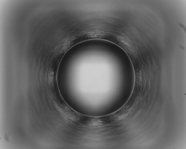 X0000091170263200708161504