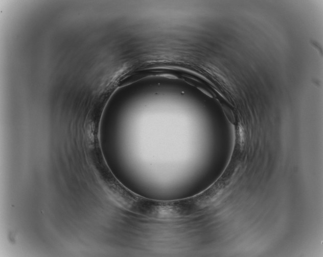 X0000091170264200708161504