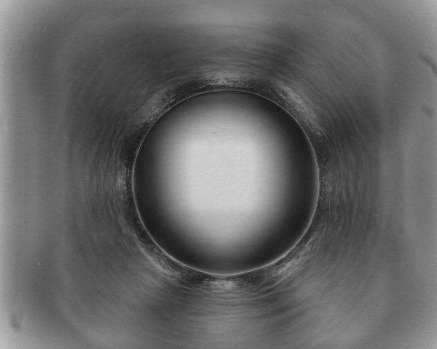 X0000091170265200708161504