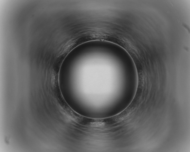 X0000091170266200708161504