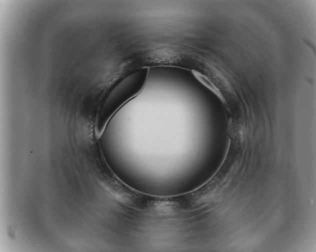 X0000091170268200708161504