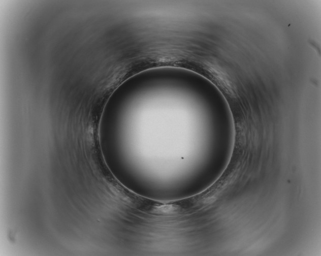 X0000091170269200708161504