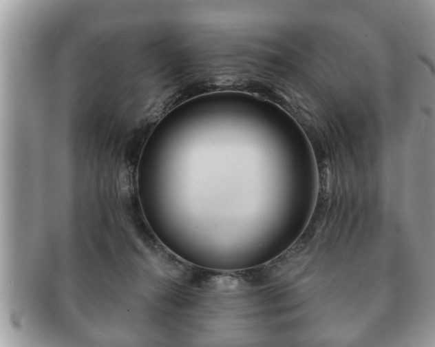 X0000091170272200708161504