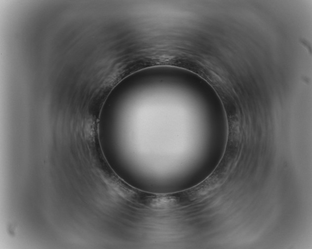 X0000091170274200708161504