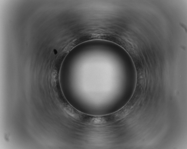 X0000091170275200708161504