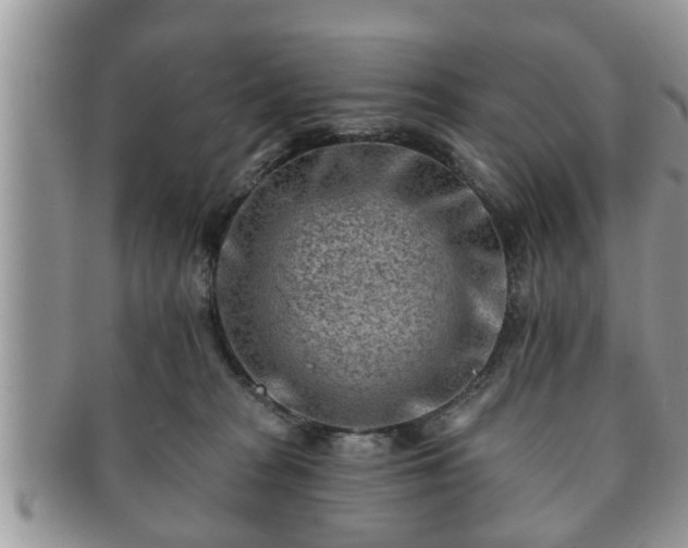 X0000091170277200708161504