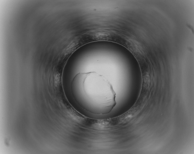 X0000091170278200708161504