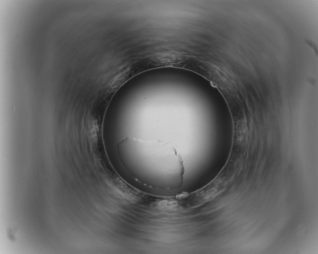 X0000091170279200708161504