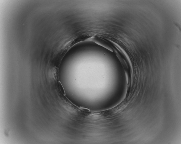 X0000091170280200708161504