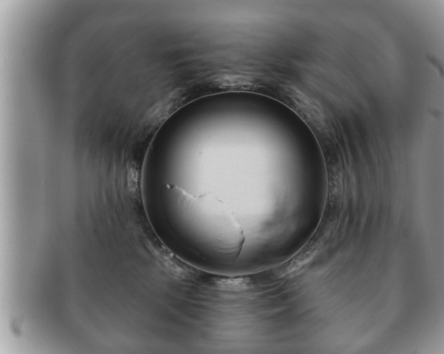 X0000091170281200708161504