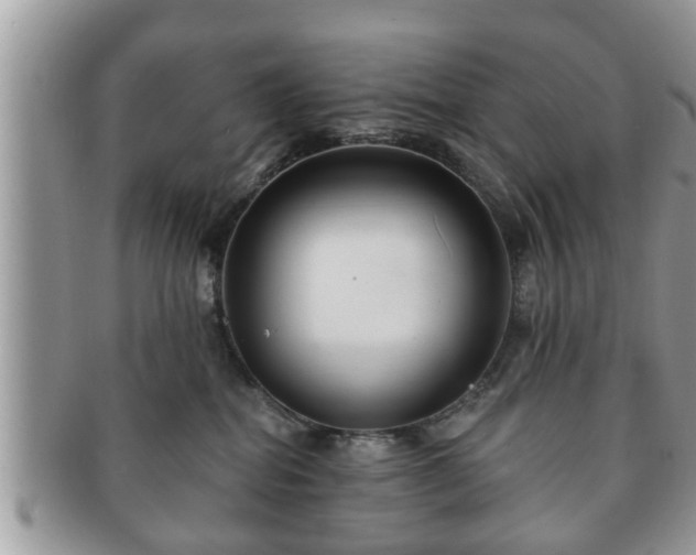 X0000091170282200708161504