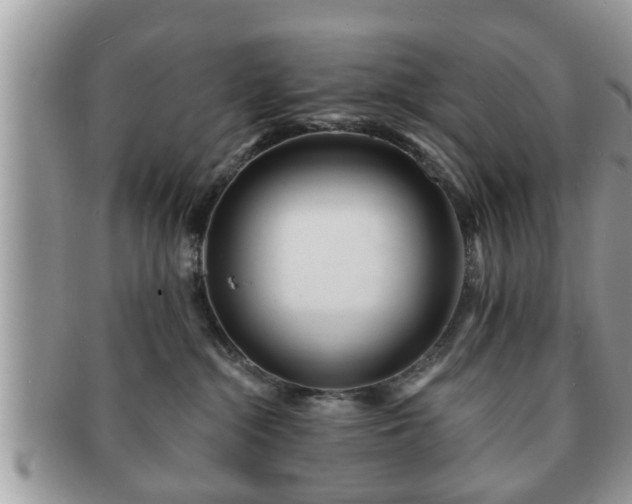 X0000091170284200708161504