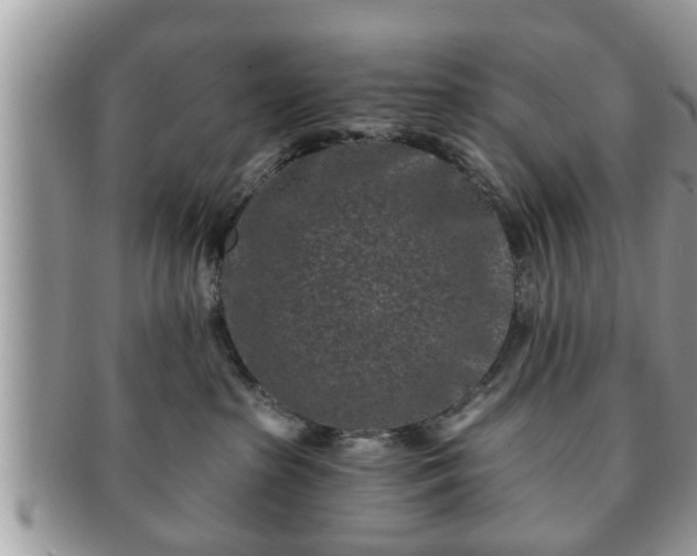 X0000091170285200708161504