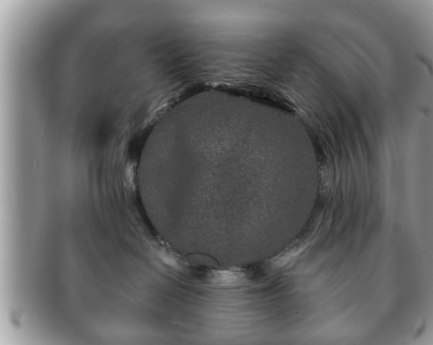 X0000091170286200708161504