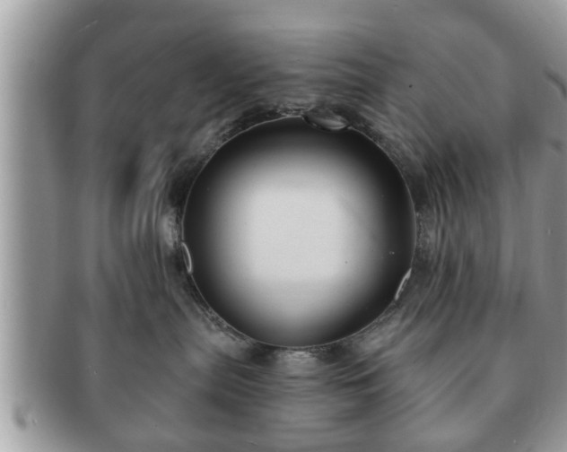 X0000091170287200708161504