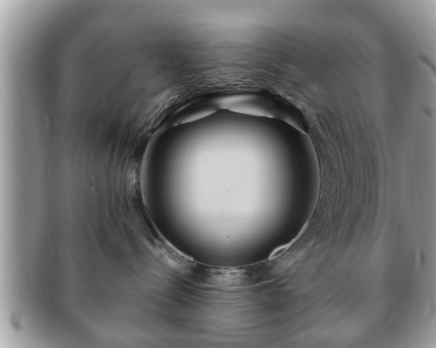 X0000091170288200708161504