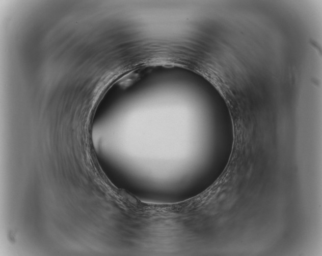 X0000091170289200708161504