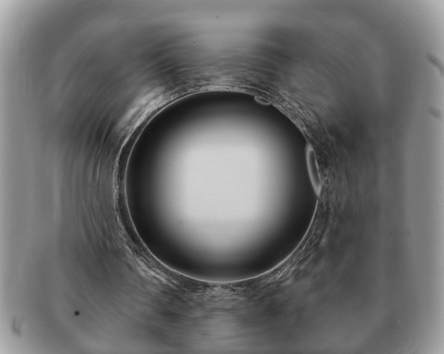 X0000091170290200708161504