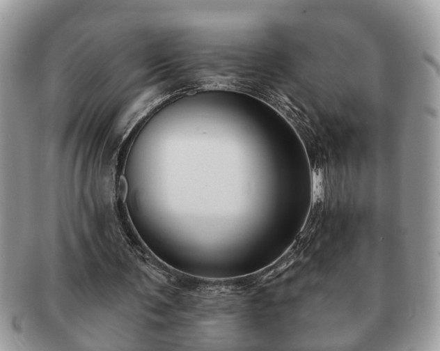 X0000091170291200708161504