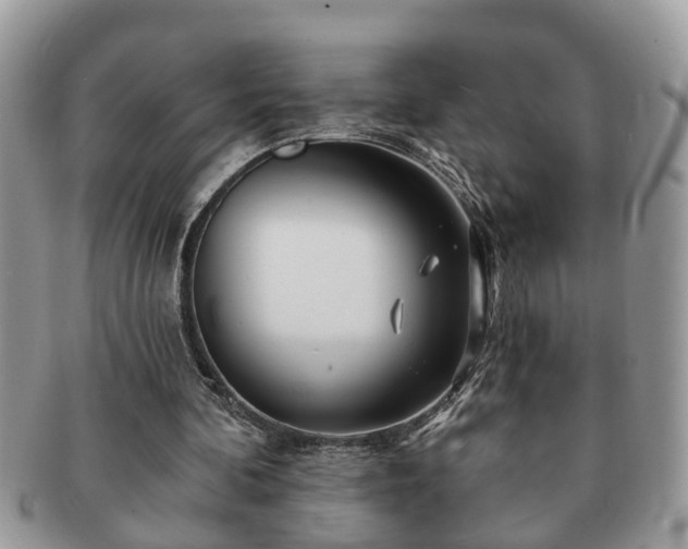 X0000091170292200708161504