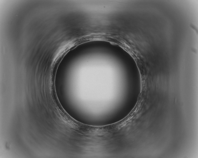 X0000091170293200708161504