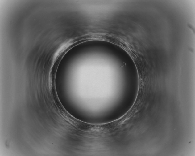 X0000091170294200708161504