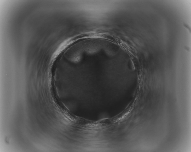 X0000091170295200708161504