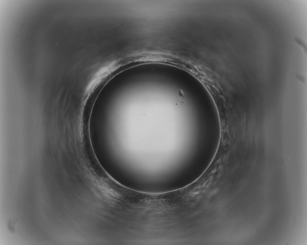 X0000091170296200708161504