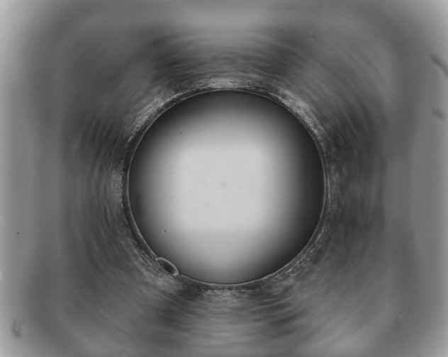 X0000091170297200708161504