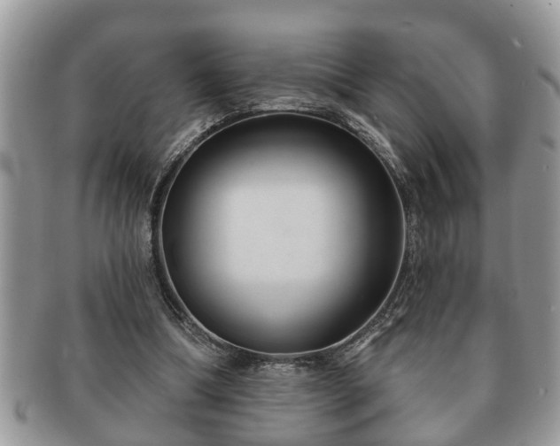 X0000091170298200708161504