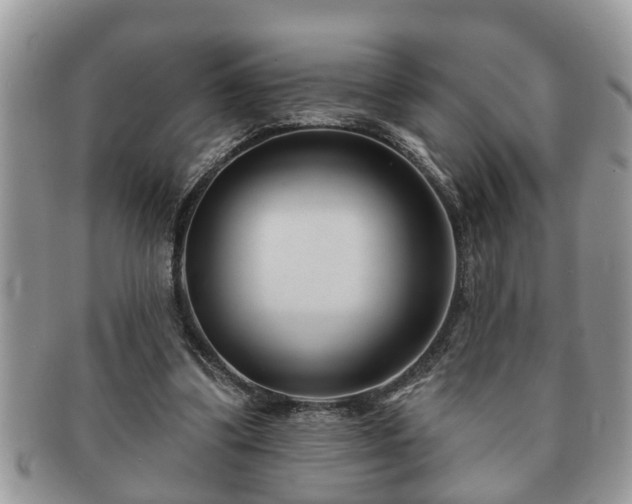 X0000091170299200708161504