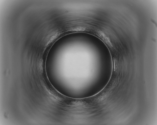 X0000091170300200708161504