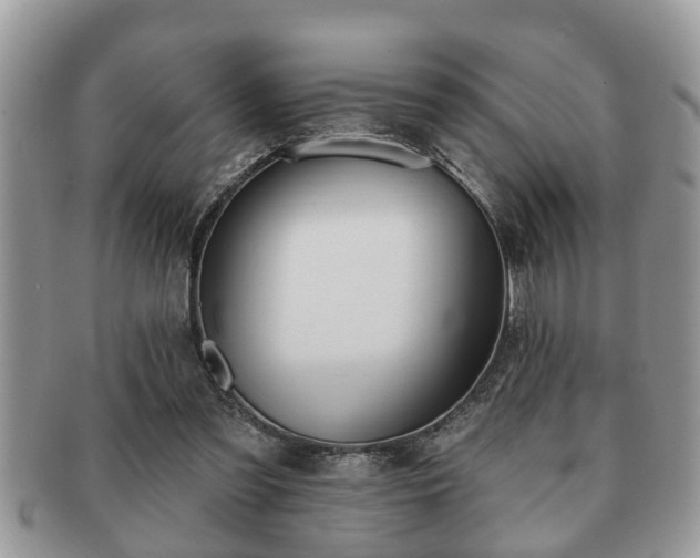 X0000091170301200708161504