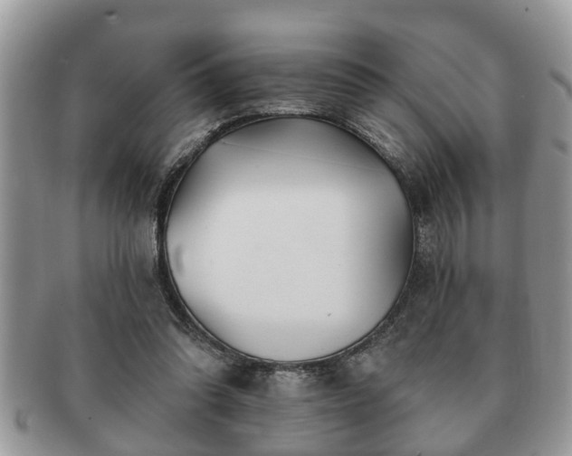 X0000091170302200708161504